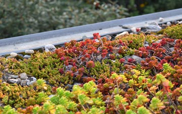 the cost of Higher Vexford green roof installation