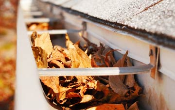Higher Vexford gutter cleaning companies