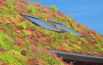 Higher Vexford living roof systems