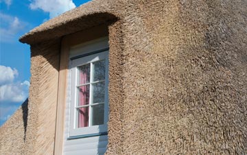 Higher Vexford thatch roof disadvantages