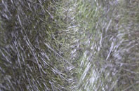 Higher Vexford fibreglass roof work